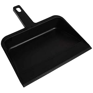 Genuine Joe GJO02406 Heavy-Duty Plastic Dust Pan, 12-inch,Black