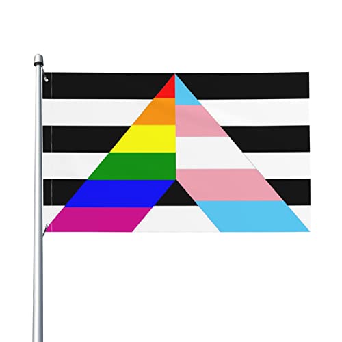 Garden Flag Straight Ally Transgender Rainbow Pride Garten Fahne Lichtbeständige Dekorative Fahnen Langlebig Pride Flag Für Indoor Outdoor Aktivitäten Veranda 90x150 cm