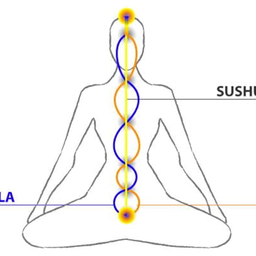 &iquest;Qu&eacute; es Kundalini?