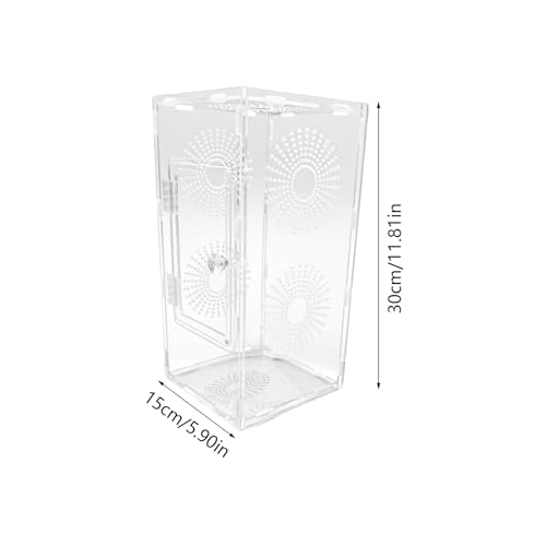 Recinto de arañas de acrílico transparente y transpirable para reptiles 6