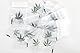 100 Baggies 60x80mm - Extra stabile Tütchen mit Druckverschluss (100 Stk, 60x80mm)