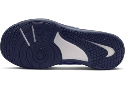 Nike Omni Multi-Court Big Kids' Indoor Court Shoes (Persian Violet/Blue Void/Volt/University Blue)4