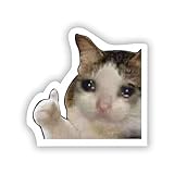 Crying Cat Thumbs Up Meme 3' Sticker Decal Mental Health DIY Laptop Planner Notebook Wall Car Window Bumper Guitar Refrigerator Car Body Folders Vehicle Tailgates
