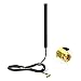 Produktbild Eightwood DAB+ Antenne SMA Antenne Autoradio DAB Scheibenantenne mit SMA Stecker 3m 9.8ft RG174 Antenne Verlängerung für Auto Radio Blaupunkt TechniSat Pioneer Sony Kenwood Alpine MEHRWEG