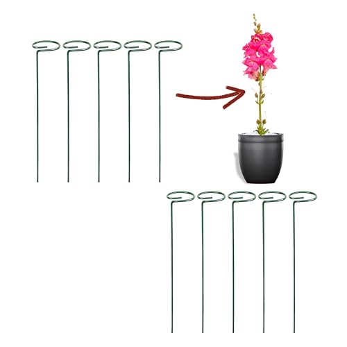 Image of Bombay Greens 18 Inches Plant Supporting Metal Garden Stake Trellis for Outdoor Plants - Set of 10