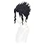 Kujo Jotaro Wig