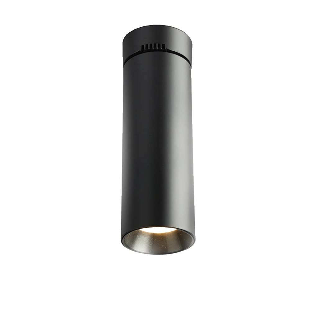 Plafonnier ultra-mince et spot LED orientable tricolore pour salon