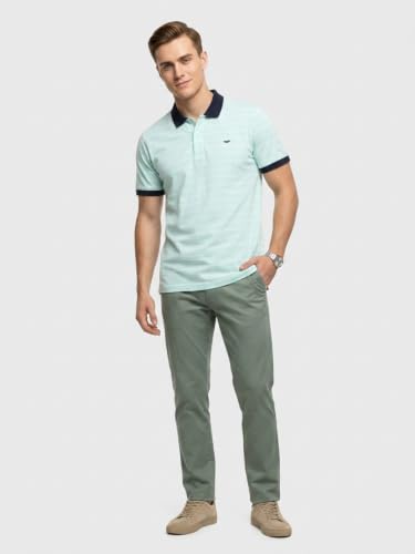 Image of Park Avenue Men Slim Fit Stripe Pattern Pure Cotton Polo Neck Half Sleeve Casual T-Shirt