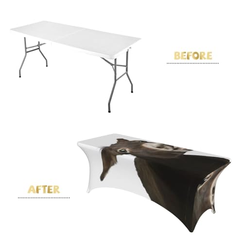 Nappe de table extensible élasthanne décorative pour repas de fête - 5