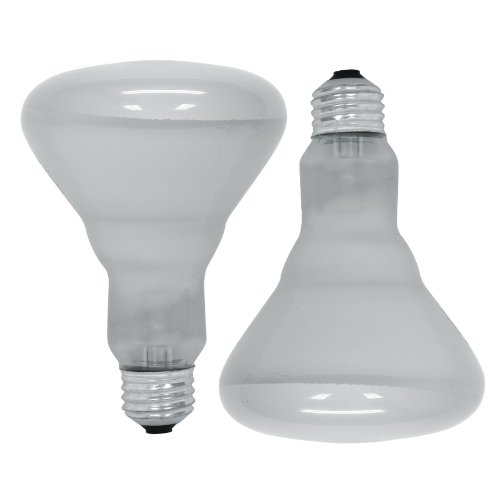 GE Lighting 18011 65-Watt Soft White Reflector Flood BR30 Light Bulb, 2-Pack, 2 Count
