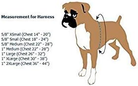Freedom No-Pull Harness ONLY (1" Wide Medium (23"-28"), Rust Orange w/Brown Loop)