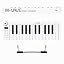 SMK-25 Mini White