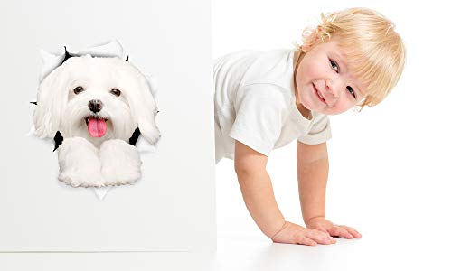 Winston & Bear 3D Dog Stickers - 2 Pack - Cute Maltese Dog Decals For Wall, Fridge, Toilet And More - Retail Packaged Maltese Stickers #TOP1