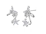 Wiftly - Pendientes de plata 925 y circonio, diseño de flor mariposa Studs, Plata de ley