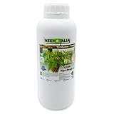 Neem Italia