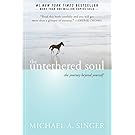 The Untethered Soul: The Journey Beyond Yourself