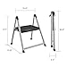 COSCO One Step Steel, Resin Steps, Step Stool without Handle, Platinum/Black