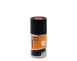 FOLIATEC FT2125 Exhaust Pipe 2 Part Gloss Spray Paint, 250 ml, Black