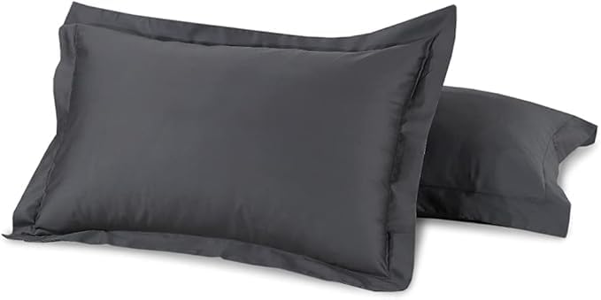 Royale Linens® 500 TC 100% Egyptian Cotton Super Soft Pair Of pillowcases (Gray, Pair of Oxford Style)