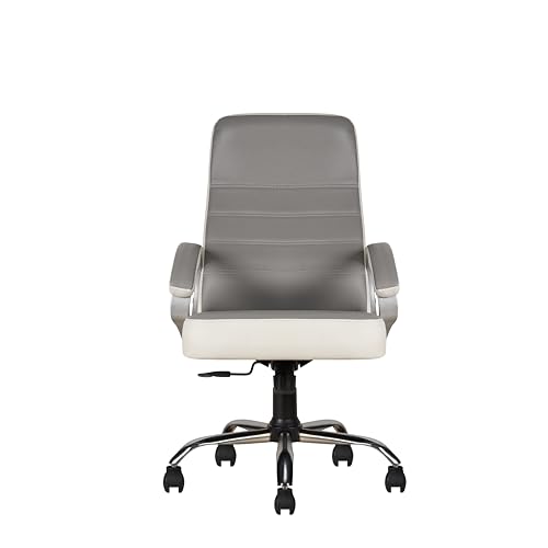 Executive Chair Grey & White