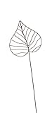 Crispe home & garden