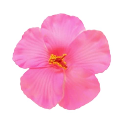 ԃwANbv Ap[eB[Ar[`ł̋xɂɍœKȁApwAfR[VBvňSB