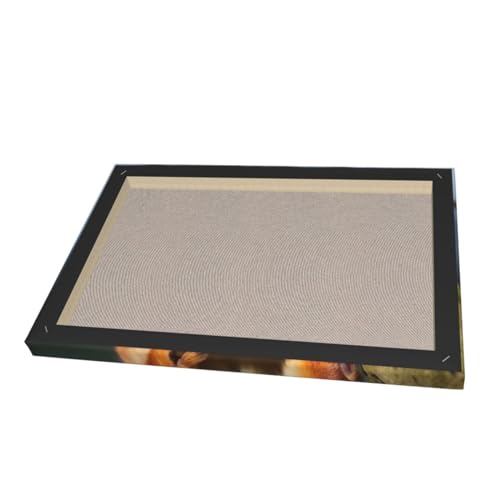 Impression sur toile d'écureuil amusant au format compact 30x45cm - 3