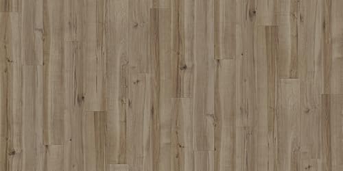 NbVtA TQc ɂLtA LCv HW-12187 2.3mm/182cm z[tA 2024-2027 ώf_ ybgh L R Ǝdグ y1mPʂł̔̔łz