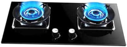 Double Burner Gas Stove with Enamel Rack, Windproof Plate, Flameout Protection, Energy-Efficient LPG Countertop/Built-in Cooking Appliance