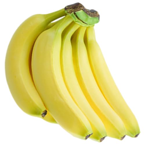 lHoiiIȃV~[Vt[ct[cVbvfBXvCLb`lHoii