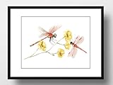 Din A4 Kunstdruck ohne Rahmen - Libellen mit Blume - 