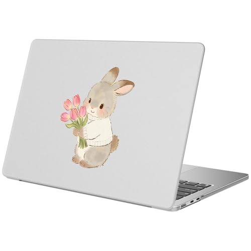 Coque MacBook Air 15 anti-rayures protection rigide mate M3 A3114