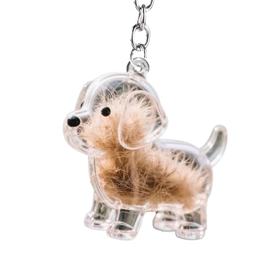 Generisch Süßer Schlüsselanhänger | Hundehaarsammler Auto-Schlüsselanhänger,Transparentes Anhänger Andenken Für Tierhaare, Wohndekoration Rückspiegel Zubehör