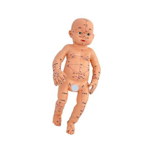 Maniquí pediátrico de acupuntos para aprender anatomía infantil en casa