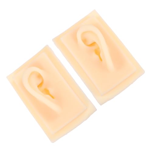Modèles d'oreilles en silicone pour présentations pédagogiques et cours d'anatomie Healvian