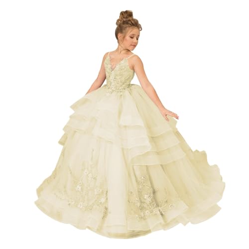 Flower Girl Dress with V-Neck Lace Appliques Princess Pageant Dress in Tulle Tiered Style for Girls' First Communion