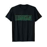 Lucasfilm Ltd グリーンロゴ レディース メンズ Tシャツ