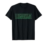 Lucasfilm Ltd グリーンロゴ レディース メンズ Tシャツ