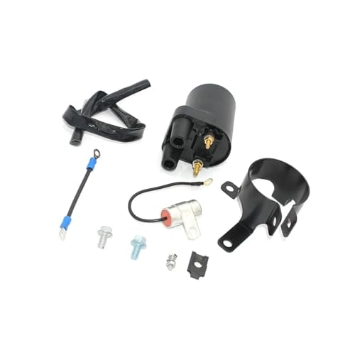 Bobine d'allumage 12V pour l'entretien de votre tondeuse P218G et P220G