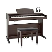 PLAY PIANO WITH GREATER EXPRESSION AND CONTROL - The DP-10X gives you an authentic playing experience by simulating the complex mechanism of an acoustic piano. This improved touch and playing response is complemented by a sample-based sound engine, s...