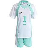 Aoba Johsai High School Cosplay Volleyball Jersey Shirt Shorts Costume Uniform (NO.1 Oikawa Tooru, M)