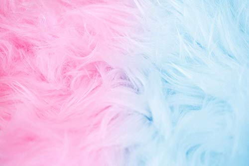 Fruidles Cotton Candy Blue And Pink Party Flavors Supplies Birthday Treats For Kids, Kosher, 1Oz Bag (24-Pack) #TOP4