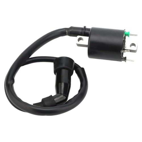 Bobine d'allumage 125cc 250cc pour entretien et réparation moto CG