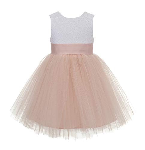 V-Back Backless Lace Flower Girl Dresses for Special Occasions Princess 206T2