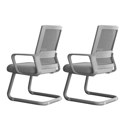 CYQQRDZSW Sillas de Oficina para Invitados Sin Ruedas, con Soporte Lumbar Ergonómico y Base de Trineo para Recepción, Conferencias, Salas de Espera y Escritorios (2 Unidades)(Gray)