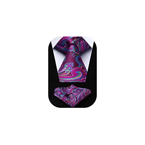 Image of HISDERN Ties for Men Paisley Tie and Pocket Square Woven Classic Floral Mens Ties Handkerchief Set Wedding Party Necktie