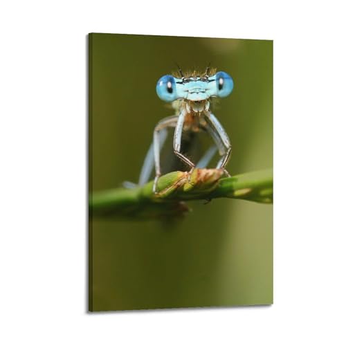 Poster sur toile de soja noir et insectes 20x30 cm de qualité premium
