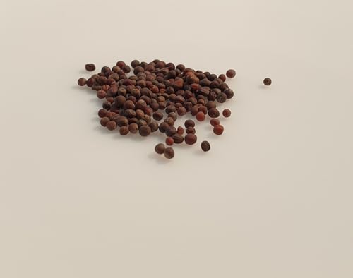 100 graines à semer - Le Grenier d'Abondance - CHOU Fleur Romanesco - Brassica oleracea