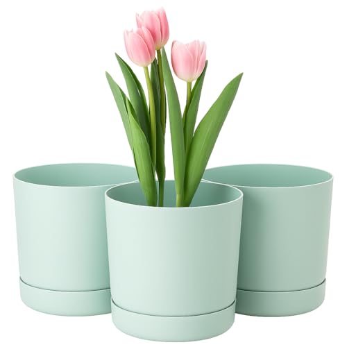 Home Garden Ornaments Plant Pots Indoor Ã¢â‚¬â€œ S