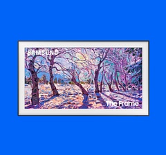 35% off Alexa Built-in